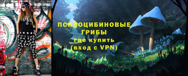 амф Осинники