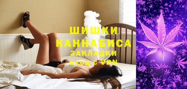 амф Осинники