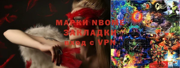 стаф Елизово