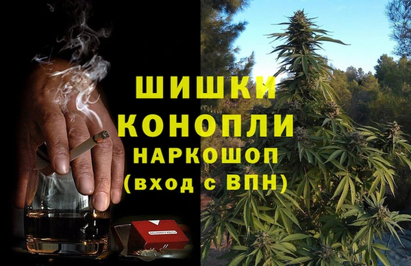 амф Осинники