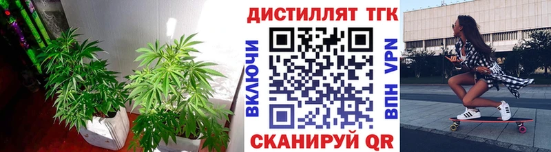 наркота  Княгинино  ТГК гашишное масло 