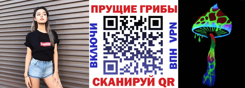 Псилоцибиновые грибы GOLDEN TEACHER  kraken ссылки  Княгинино 
